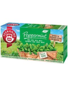 CAJ BYLINNY PEPPERMINT MATA 30g HB TEEKANNE (BOX-12PCS)